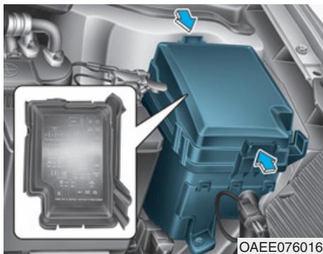 HYUNDAI Ioniq (2016-2019) - Panneau de fusibles du compartmentement moteur - 1