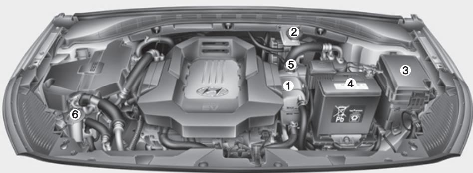 HYUNDAI Ioniq (2016-2019) - COMPARTIMENT MOTEUR - 1