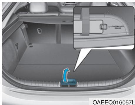HYUNDAI Ioniq (2016-2019) - Déverrouillage en urgence du connecteur de charge - 1