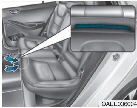 HYUNDAI Ioniq (2016-2019) - Autres précautions relatives au vehicule électrique - 1