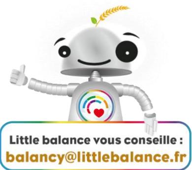 LITTLE BALANCE 8845 - Avertissement et précautions relativement aux piles (modèles à chargement USB non concernés) - 3