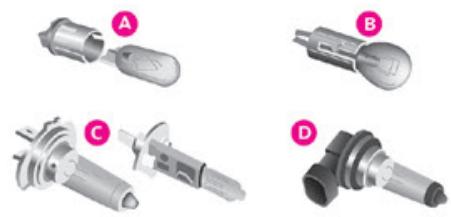TOYOTA Proace City (2019-2023) - Types d'ampoules - 1