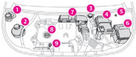 TOYOTA Proace City (2019-2023) - Compartment moteur - 2