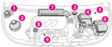 TOYOTA Proace City (2019-2023) - Compartment moteur - 1