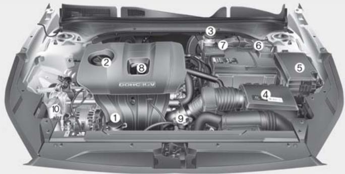 KIA Forte (2018-2021) - COMPARTIMENT-MOTEUR - 1