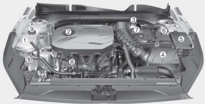 KIA Forte (2018-2021) - COMPARTIMENT-MOTEUR - 2