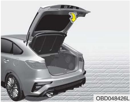 KIA Forte (2018-2021) - ! MISE EN GARDE - 1