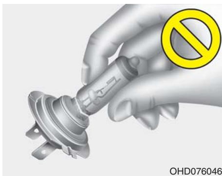 KIA Forte (2018-2021) - (Suite) - 2