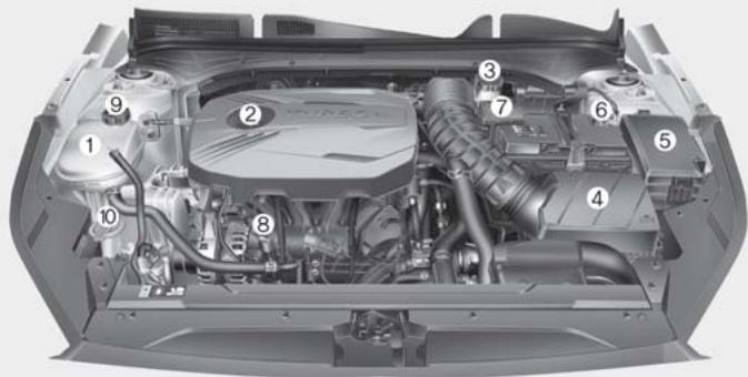 KIA Forte (2018-2021) - COMPARTIMENT-MOTEUR - 2