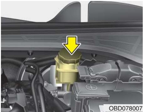KIA Forte (2018-2021) - Vérifier le niveau de liquide de frein/embrayage - 1