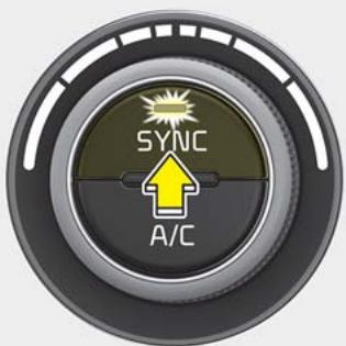 KIA Forte (2018-2021) - \* AVIS - 1