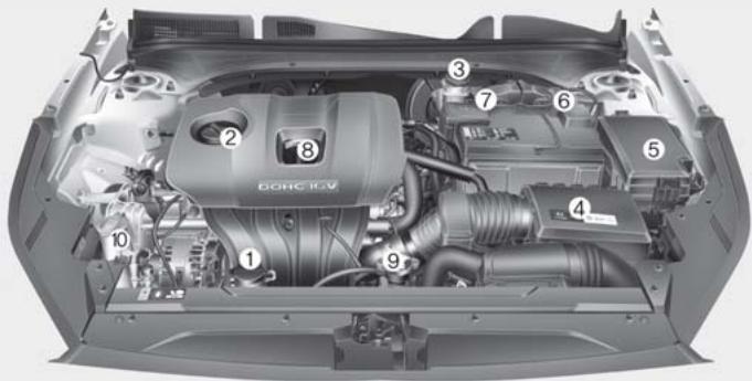 KIA Forte (2018-2021) - COMPARTIMENT-MOTEUR - 1