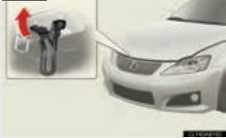 LEXUS IS XE20 Phase 2 (2010-2013) - Capot - 2