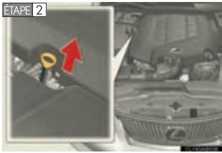 LEXUS IS XE20 Phase 2 (2010-2013) - Vérification du niveau d'huile moteur - 1