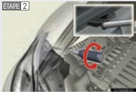LEXUS IS XE20 Phase 2 (2010-2013) - Réglage du faisceau des phares - 3