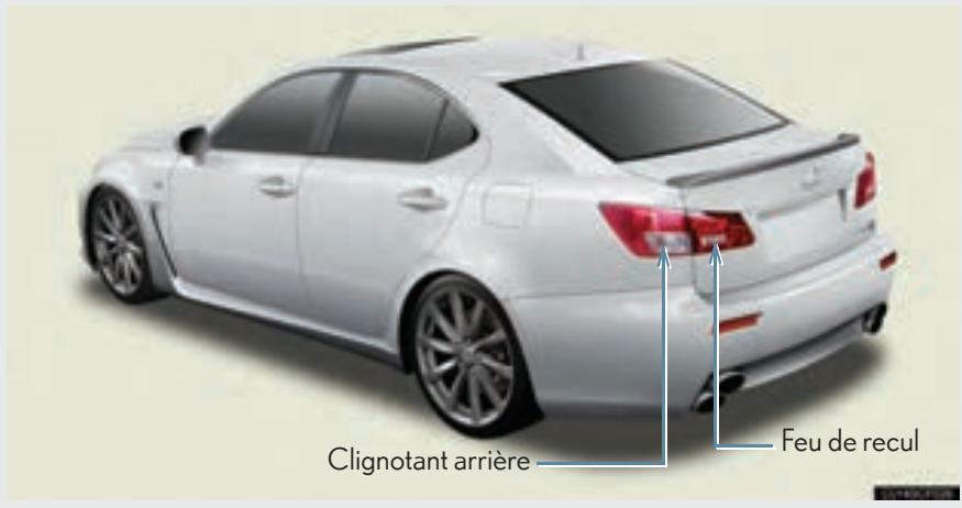 LEXUS IS XE20 Phase 2 (2010-2013) - Ampoules - 1