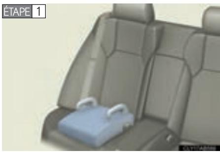 LEXUS IS XE20 Phase 2 (2010-2013) - Coussin de rehausse - 1
