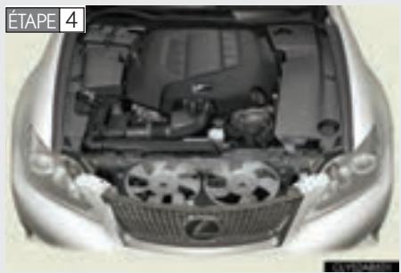 LEXUS IS XE20 Phase 2 (2010-2013) - En cas de surchauffe moteur: - 1