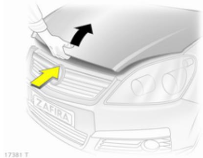OPEL Zafira B - 2 Phase 2 (2008-2014) - Ouverture - 2