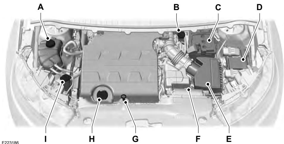 FORD Flex (2017) - Fermeture du capot - 1