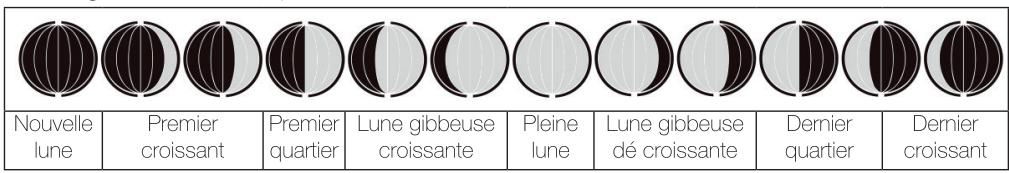 OPTEX 990056 - Phase de la lune - 1