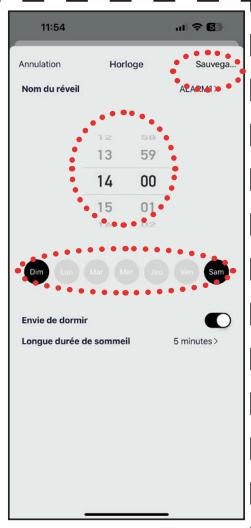 OPTEX 990056 - Réglages des alarmes à distance - 4