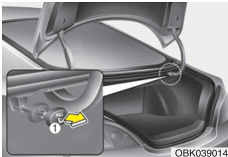 HYUNDAI Genesis coupe (2012-2016) - A VERTISSEMENT - 1