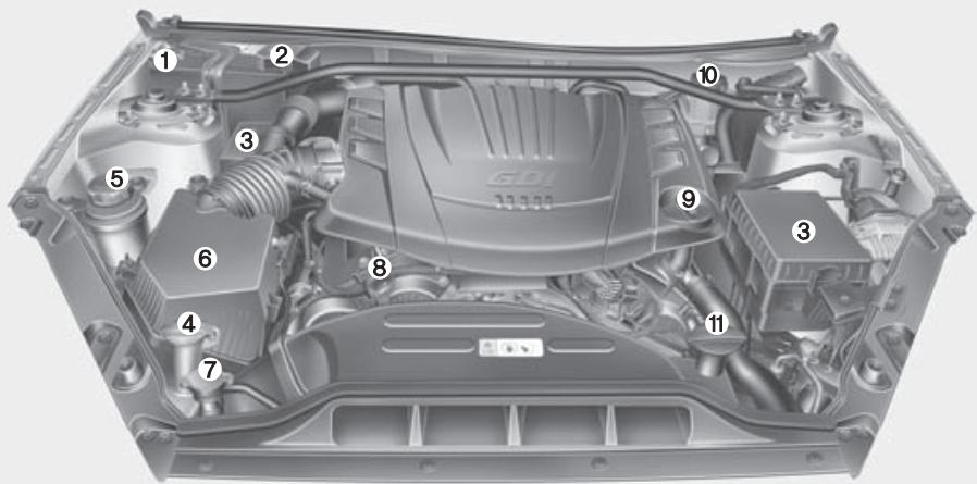 HYUNDAI Genesis coupe (2012-2016) - COMPARTIMENT-MOTEUR - 1