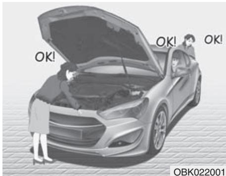 HYUNDAI Genesis coupe (2012-2016) - Conduite hors route - 1
