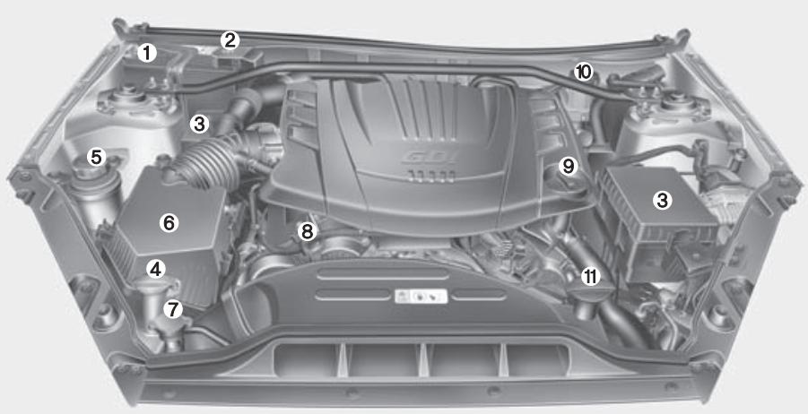 HYUNDAI Genesis coupe (2012-2016) - COMPARTIMENT-MOTEUR - 1