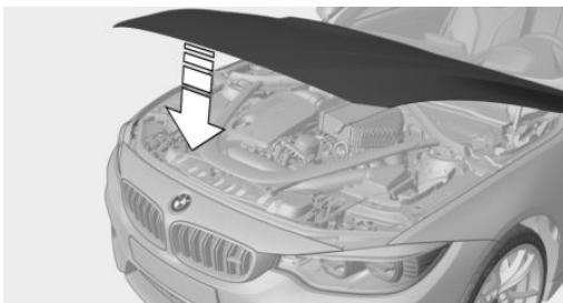 BMW M4 COUPÉ (2017-2020) - Fermeture du capot moteur - 1
