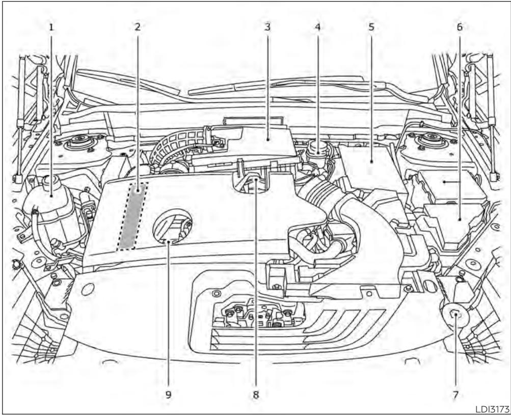 INFINITI QX55 (2022) - POINTS DE VÉRIFICATION DANS LE COMPARTIMENT MOTEUR - 1