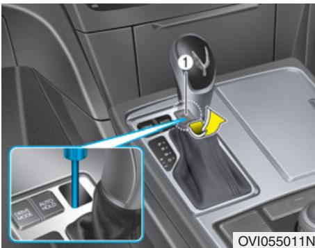 HYUNDAI Equus (2009-2016) - AVERTISSEMENT - 1