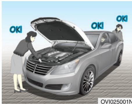 HYUNDAI Equus (2009-2016) - Conduite sur autoroute - 1