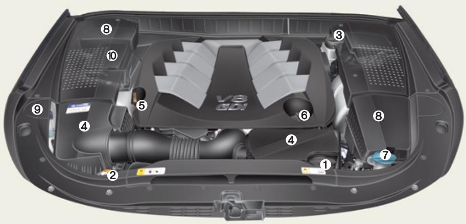 HYUNDAI Equus (2009-2016) - COMPARTIMENT MOTEUR - 1