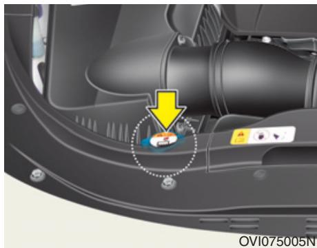 HYUNDAI Equus (2009-2016) - i Informations - 1