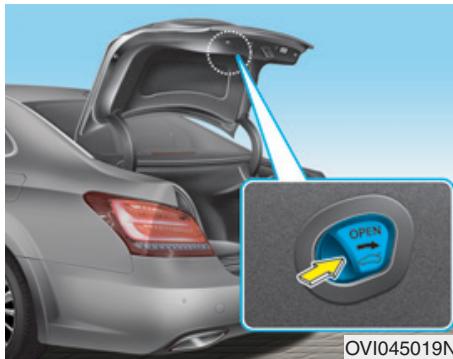 HYUNDAI Equus (2009-2016) - Poignée d'ouverture d'urgence du coffre - 1