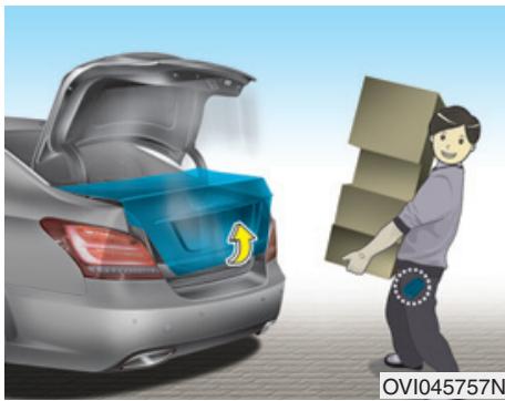 HYUNDAI Equus (2009-2016) - AVERTISSEMENT - 1