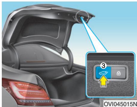 HYUNDAI Equus (2009-2016) - Coffre à ouverture/fermeture électriques (si équipé) - 3