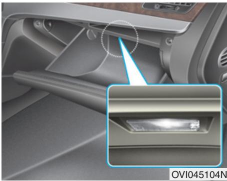 HYUNDAI Equus (2009-2016) - Éclairage de courtoisie des portières - 2