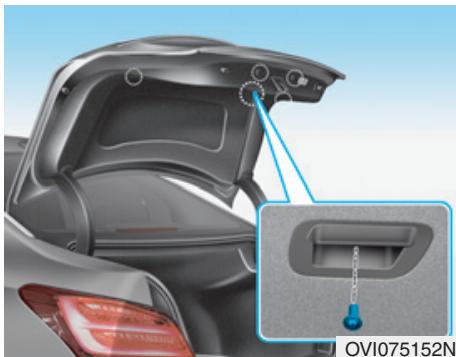 HYUNDAI Equus (2009-2016) - Remplacement des ampoules d'éclairage de la plaque d'immatriculation - 4