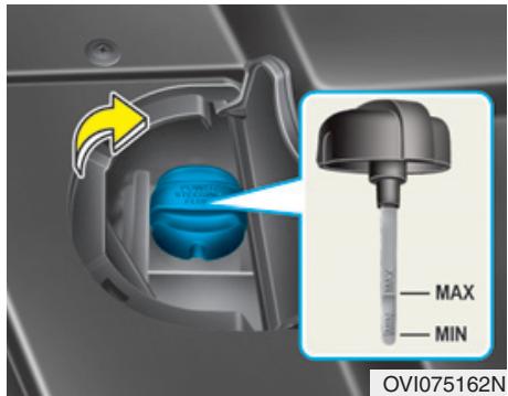 HYUNDAI Equus (2009-2016) - Vérification du niveau de liquide de direction assistée - 1
