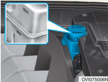 HYUNDAI Equus (2009-2016) - Vérification du niveau de liquide de frein - 1
