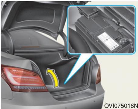 HYUNDAI Equus (2009-2016) - Pour un entretien adéquat de la batterie - 1