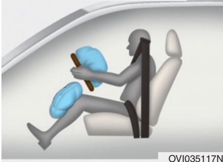HYUNDAI Equus (2009-2016) - AVERTISSEMENT - 1