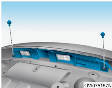 HYUNDAI Equus (2009-2016) - AVIS - 1