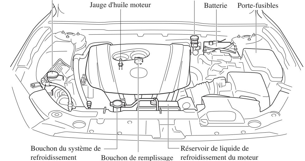 MAZDA 3 (2013-2017) - SKYACTIV-G 1.5, SKYACTIV-G 2.0, et SKYACTIV-G 2.5 - 1