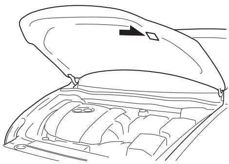 MAZDA 3 (2013-2017) - Numéro du châssis - 3