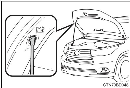 TOYOTA Highlander (2014) - Capot - 3