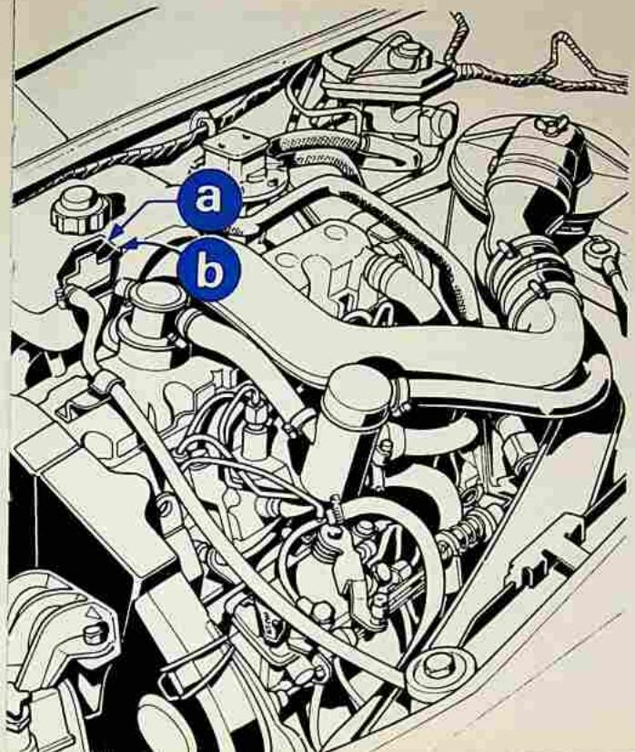 Talbot Horizon (1977-1987) - COURROIES D'ENTRAINEMENT - 1